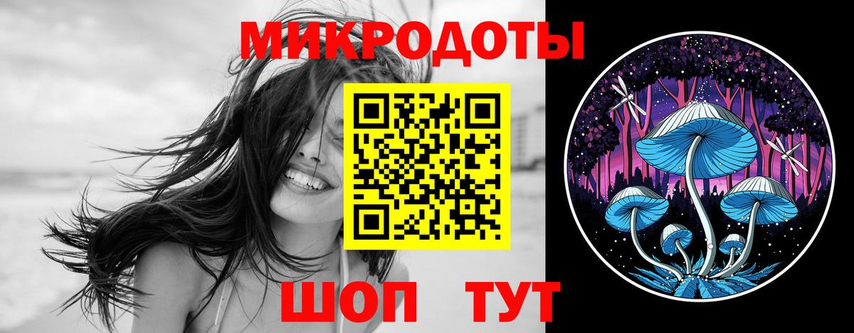 Псилоцибиновые грибы мицелий Нововоронеж